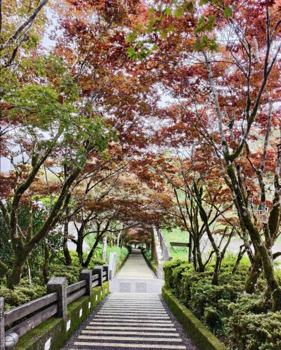 太平山見晴步道賞楓出遊心得