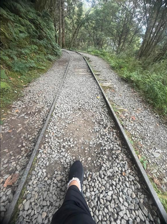 太平山見晴懷古步道健行心得
