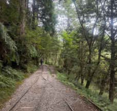 太平山見晴懷古步道健行心得